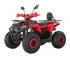 Квадроцикл JM-VS125X2 125 куб.см