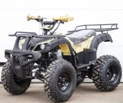Квадроцикл STALKER 250