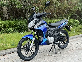 Мопед PROMAX STREET CROSS MAX 150 (49)
