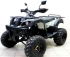 Квадроцикл ATV Avenger Tungus 250 Квадроцикл ATV Avenger Tungus 250