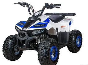 Квадроцикл Yacota Raposa 110